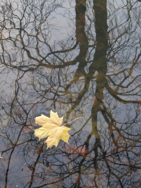 Zrcadlení a odrazy / Mirroring and reflections