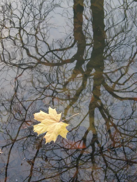 Zrcadlení a odrazy / Mirroring and reflections